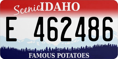 ID license plate E462486