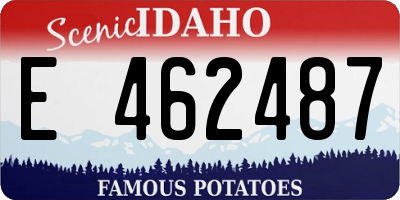 ID license plate E462487