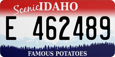 ID license plate E462489