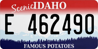ID license plate E462490