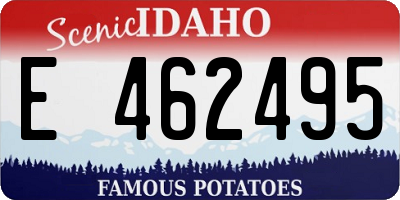 ID license plate E462495
