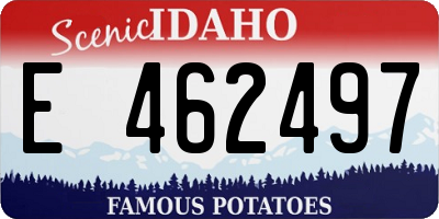 ID license plate E462497