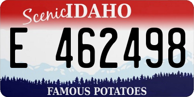 ID license plate E462498