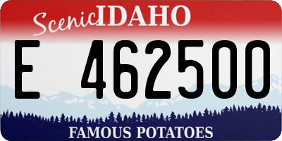 ID license plate E462500