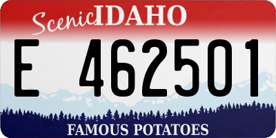 ID license plate E462501