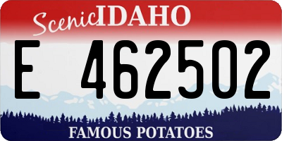 ID license plate E462502