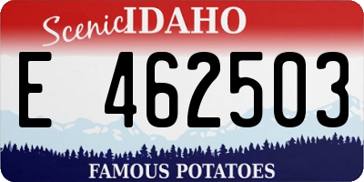 ID license plate E462503