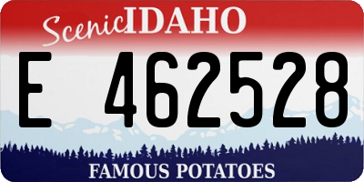 ID license plate E462528