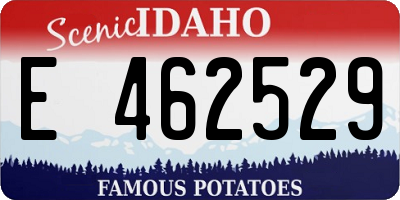 ID license plate E462529