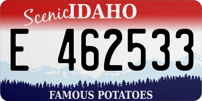 ID license plate E462533