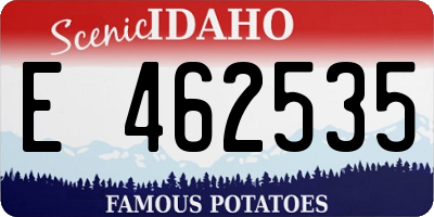ID license plate E462535