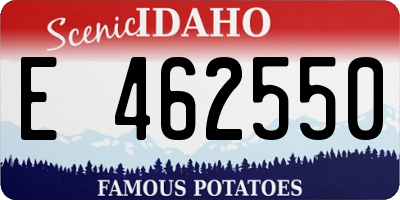 ID license plate E462550