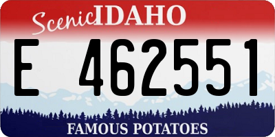 ID license plate E462551
