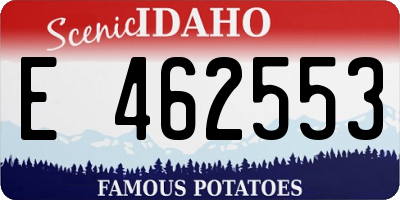 ID license plate E462553