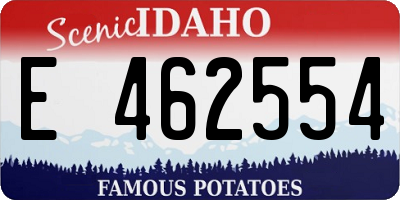 ID license plate E462554