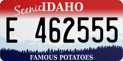 ID license plate E462555