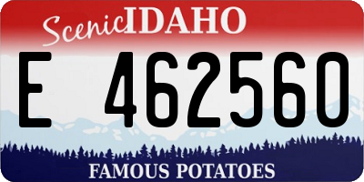 ID license plate E462560