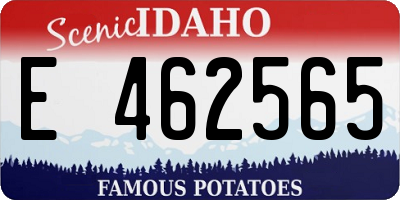 ID license plate E462565
