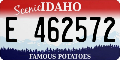 ID license plate E462572