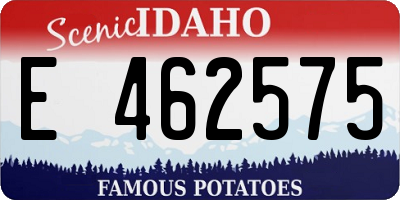 ID license plate E462575