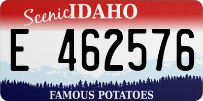 ID license plate E462576
