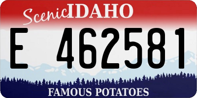 ID license plate E462581