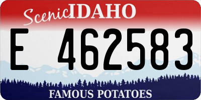 ID license plate E462583