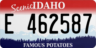 ID license plate E462587