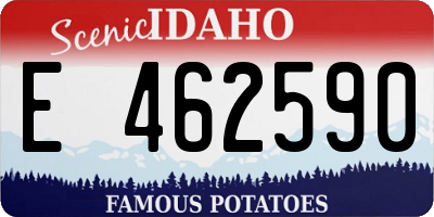 ID license plate E462590