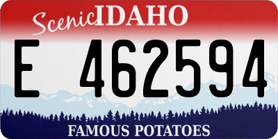 ID license plate E462594