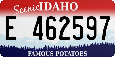 ID license plate E462597