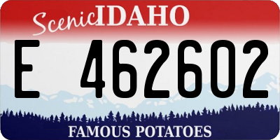 ID license plate E462602