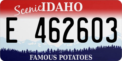 ID license plate E462603