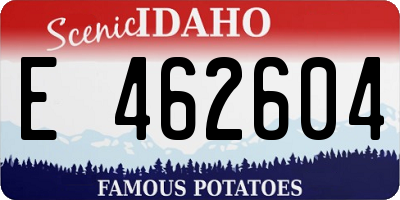 ID license plate E462604