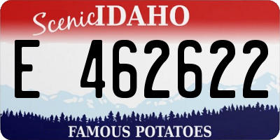 ID license plate E462622