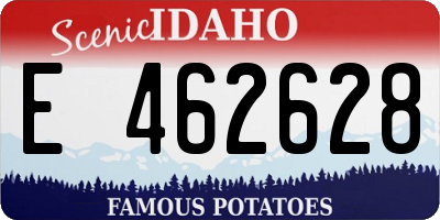 ID license plate E462628