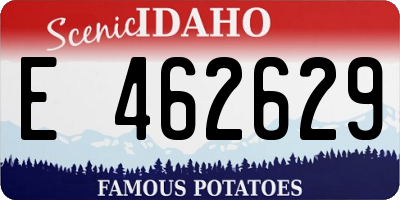 ID license plate E462629