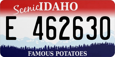 ID license plate E462630