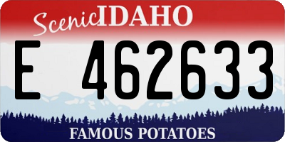 ID license plate E462633