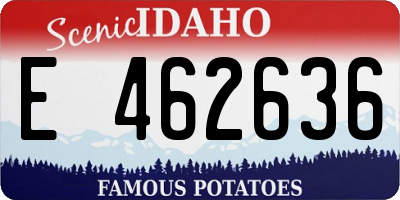 ID license plate E462636