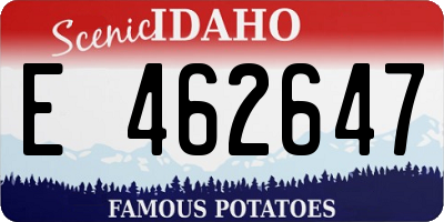ID license plate E462647