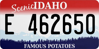 ID license plate E462650