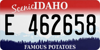 ID license plate E462658