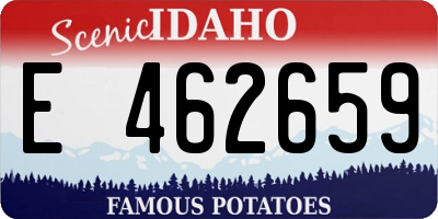 ID license plate E462659