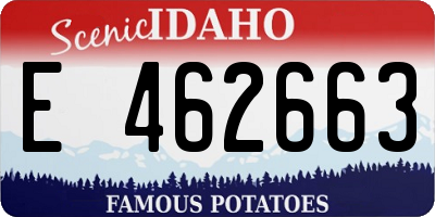ID license plate E462663