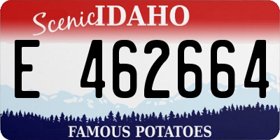 ID license plate E462664
