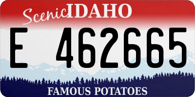 ID license plate E462665