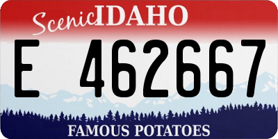 ID license plate E462667