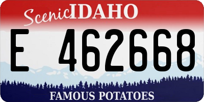 ID license plate E462668