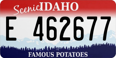 ID license plate E462677